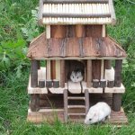 How to make a hamster house with your own hands at home