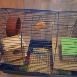 Cage for a hamster