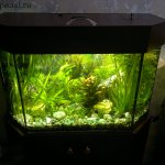 DIY aquarium lid