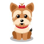 Yorkshire terrier drawing